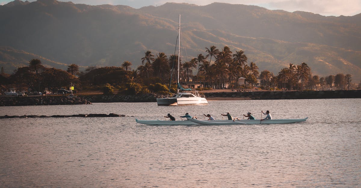 Exploring the Technology Behind Variable Resistance Rowing Machines